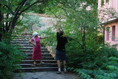 I trädgården till en kyrka i Plovdiv hjälpte jag denna kvinna att böja ner grenarna så att hon kom åt frukten.