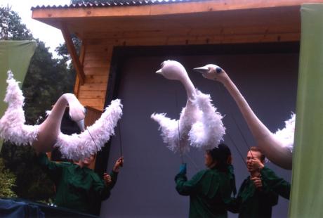 Den fula ankungen. Sommarlovsteater i Bukarest.